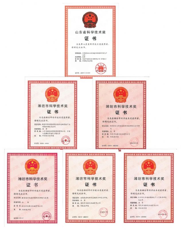 [good news] Longgang silicon Co., Ltd. won the first prize of Weifang Science and Technology Progress Award！