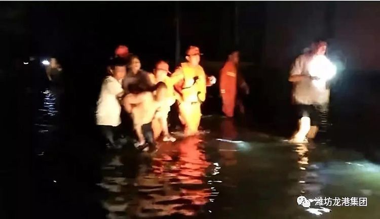 弘揚正能量——龍港集團員工見義勇為事跡！