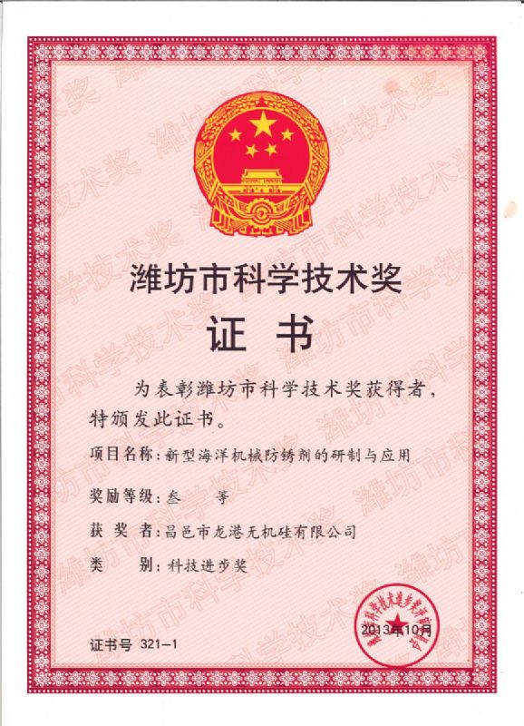 【喜訊】龍港硅業(yè)公司喜獲濰坊市科技進(jìn)步獎一等獎！