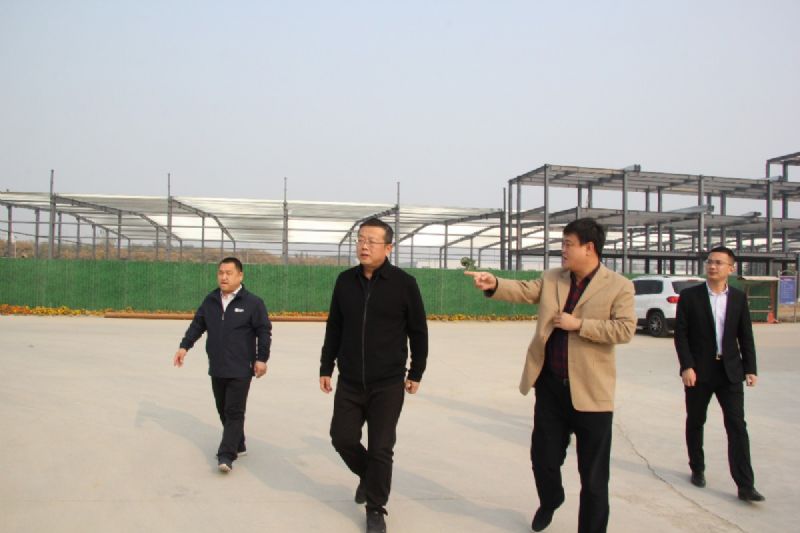 市委常委、市政府副市長劉煜到龍港汽車城調(diào)研