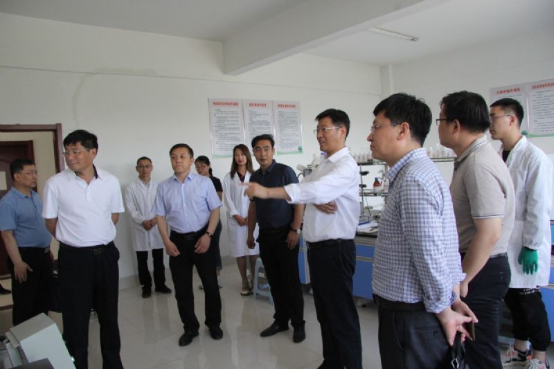 省政府研究室黨組成員、副主任趙昌軍帶隊(duì)到龍港集團(tuán)調(diào)研推動(dòng)“工業(yè)強(qiáng)基”基本情況